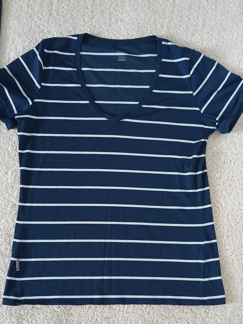 Icebreaker Navy and White Striped V-Neck Short Sleeve Tee